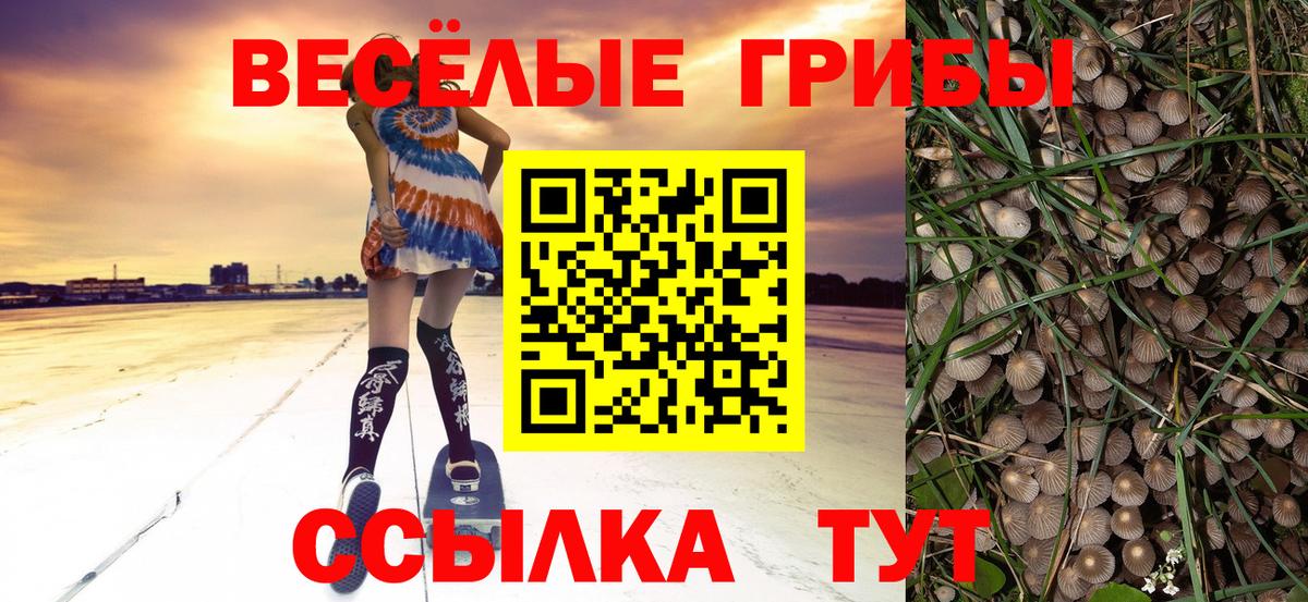 Нижневартовск  Галлюциногенные грибы MAGIC MUSHROOMS  Вход с VPN 