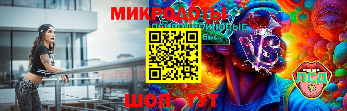 Псилоцибиновые грибы Cubensis Нижневартовск